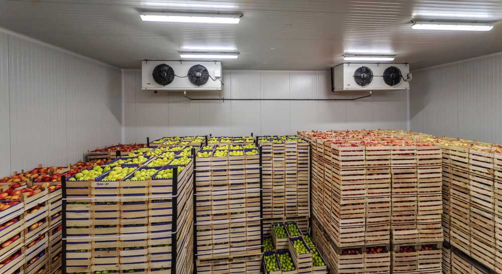 Food stored in crates in a cold storeroom
