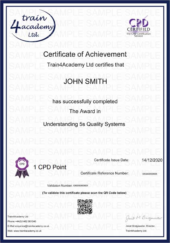 5s Quality Systems Training - Certificate Example