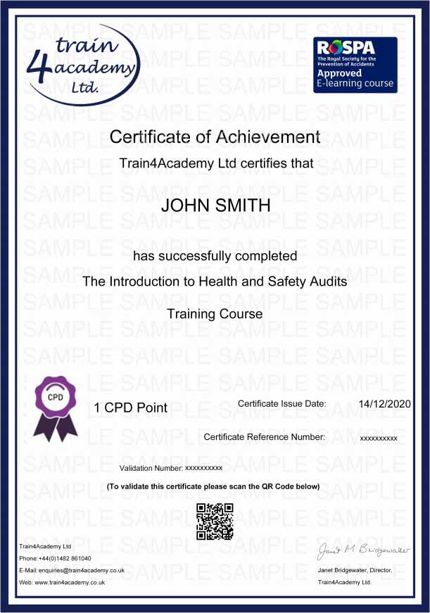 Health and Safety Audits Training in Education - Certificate Example
