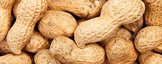 Peanuts are in the 14 Food Allergens you need to be aware of
